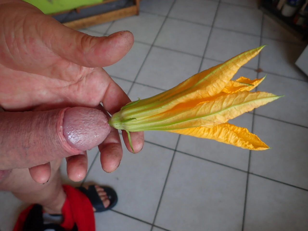 把花放进你的大炮里