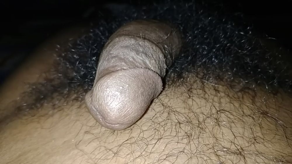 HAIRY BIG BLACK COCK 