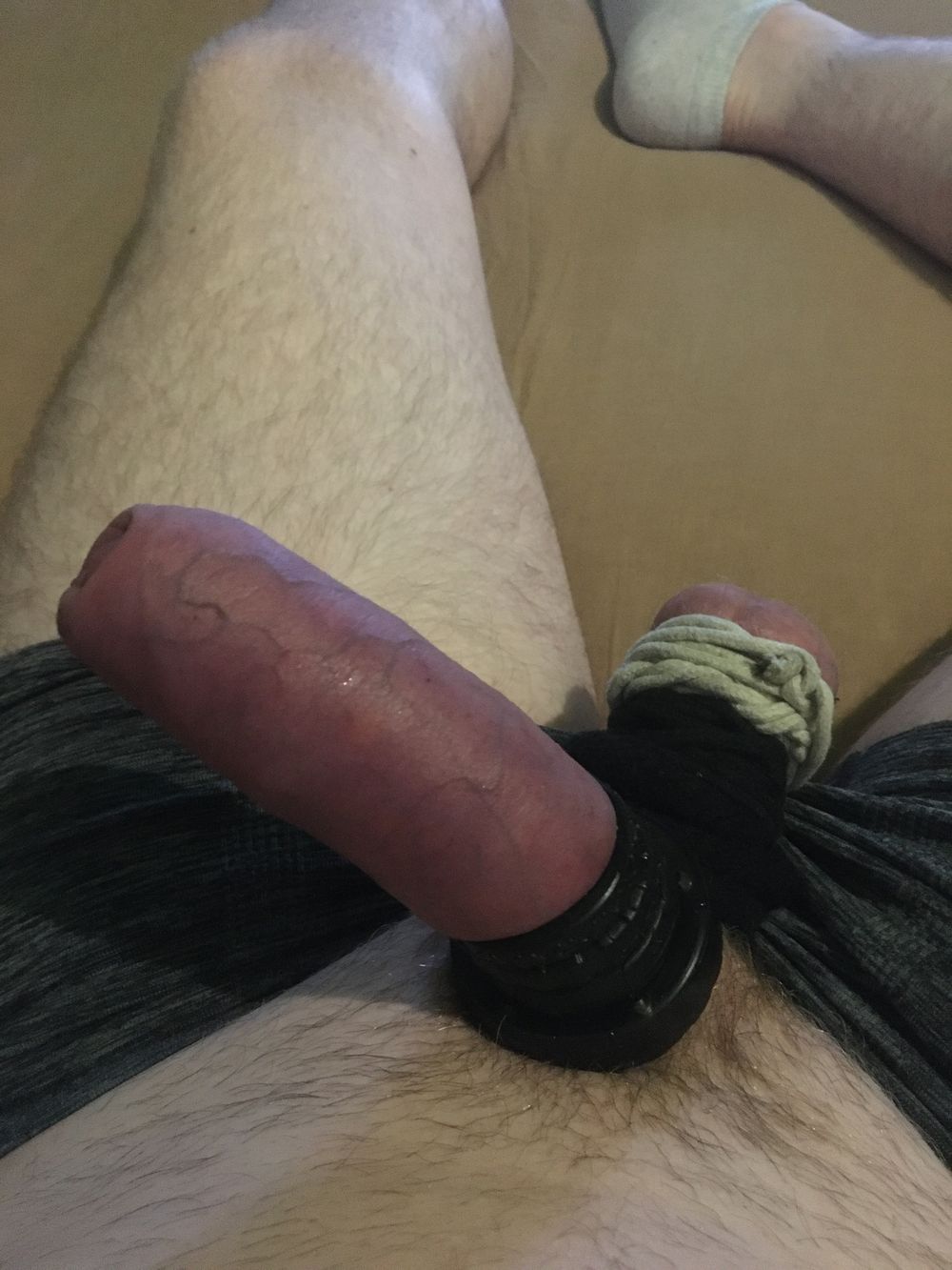 Balls Bound And Cock With Cockrings #16