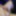 Bi guy cock pics 