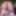 ふしだらなまだ 2024年8月