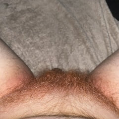 Hairy ginger cock