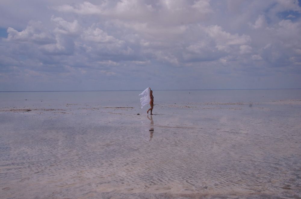 Whiter Shawl on Elton saltlake #23