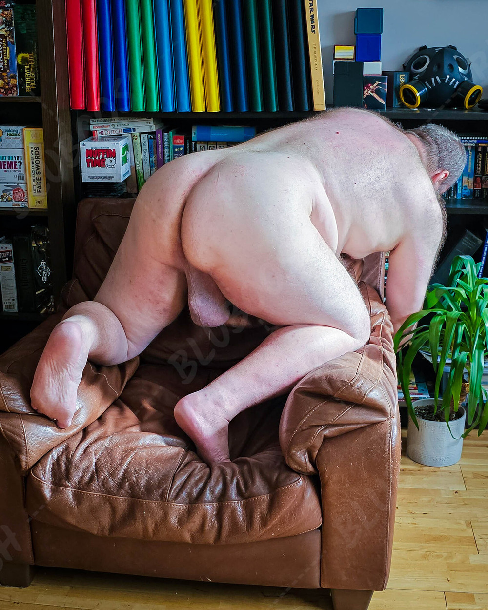 Singlets & Naked Couch Bear #11