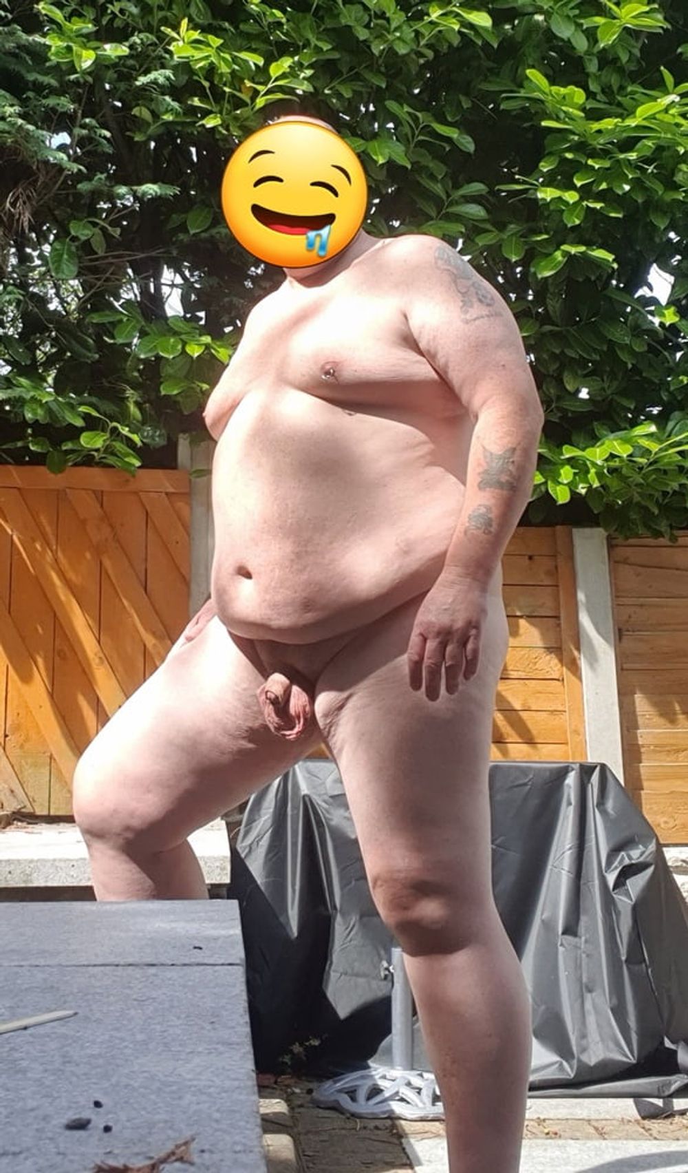 Fat bloke in the garden  #2