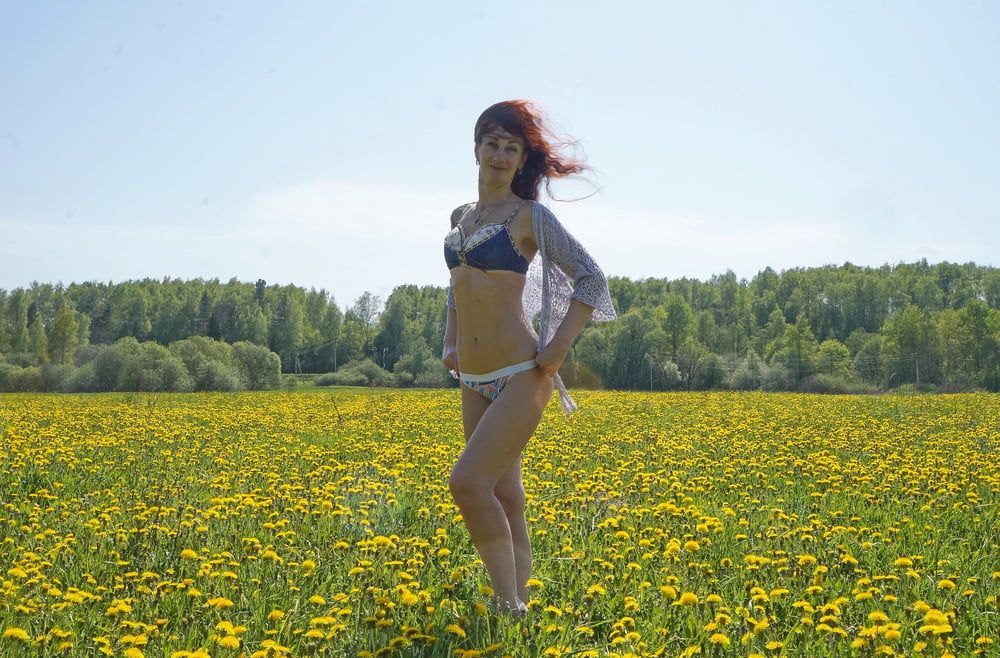 Yellow Meadow #5