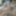 在辉煌的 forma