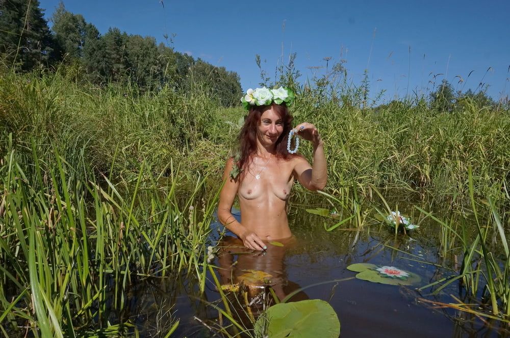 In pond with waterflowers #40