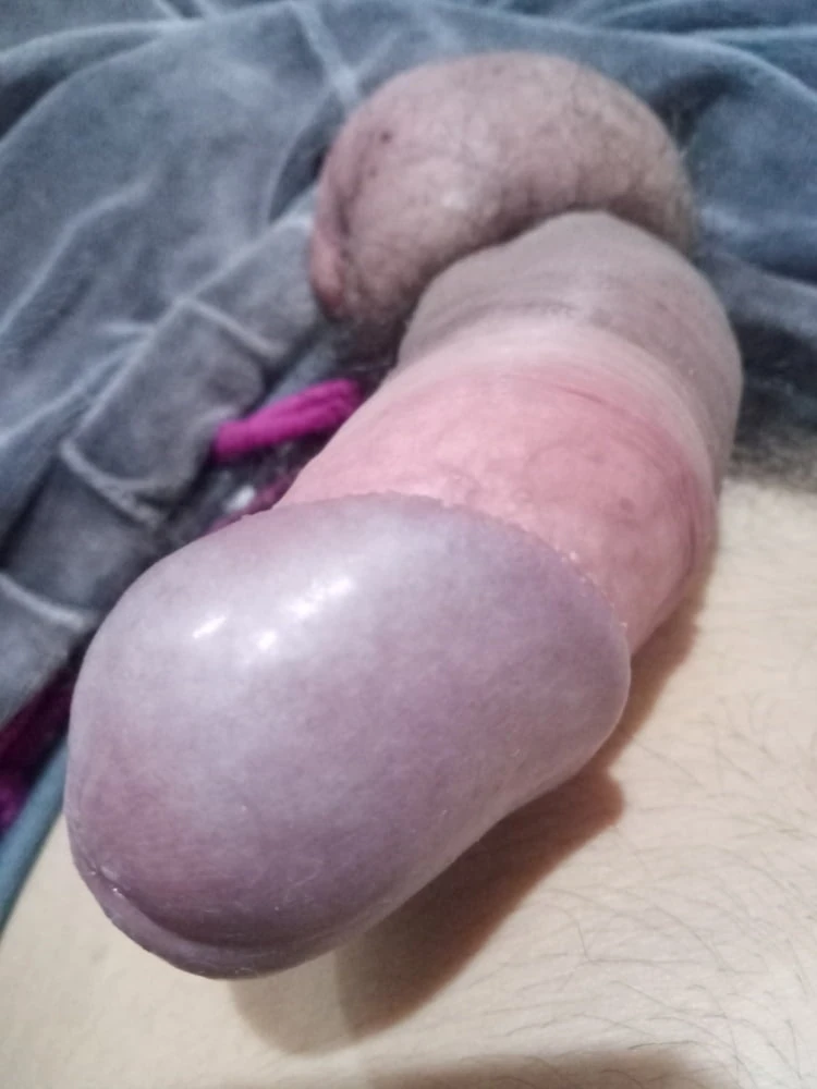 My cock new pics