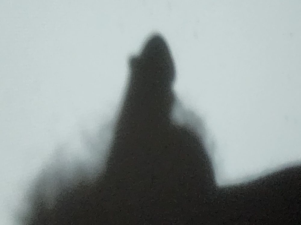 Shadow Dick #5