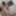 Manaka :: Caribbean Diamond Vol.6 - CARIBBEANCOM #15