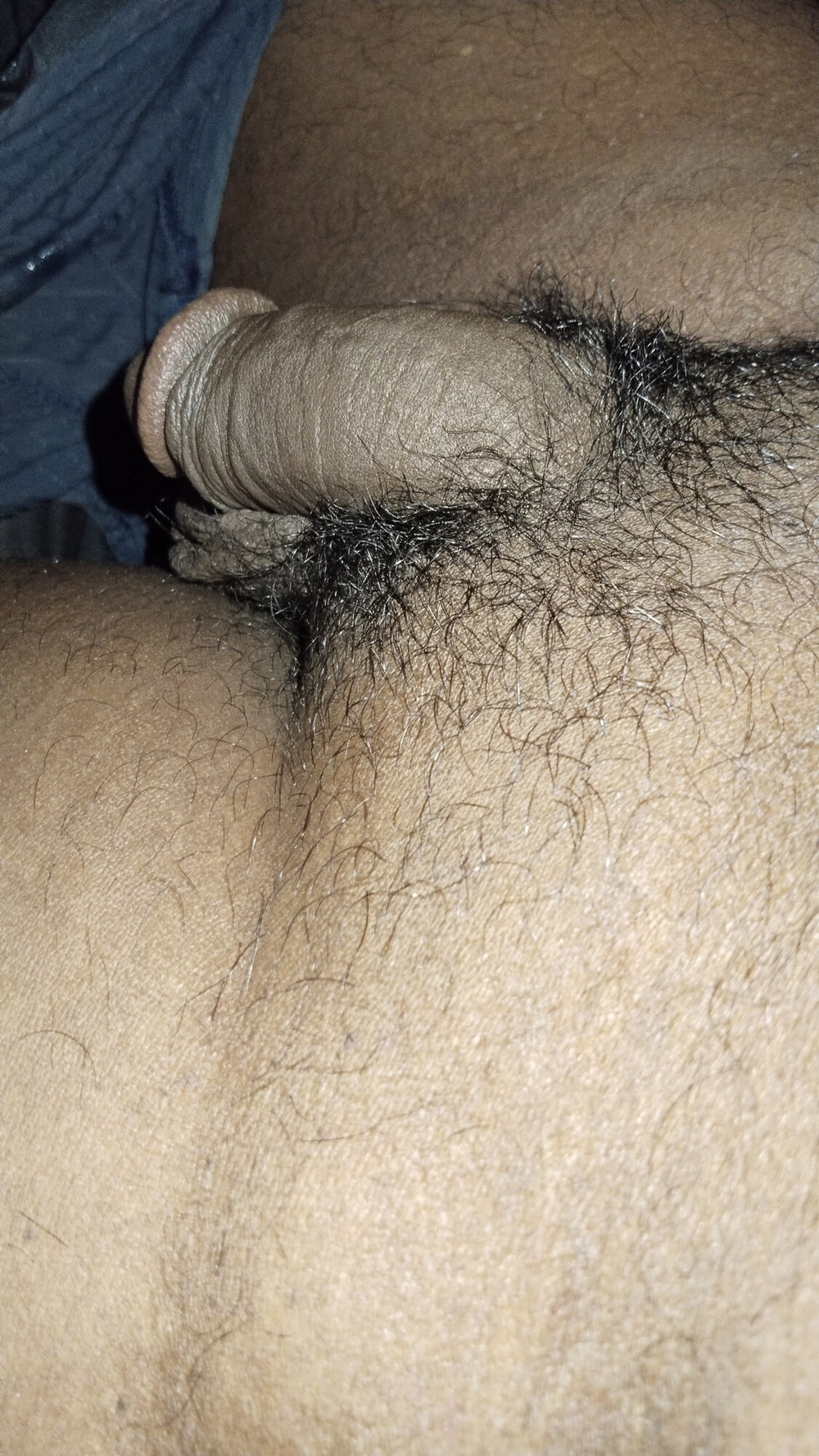 Cock head #13