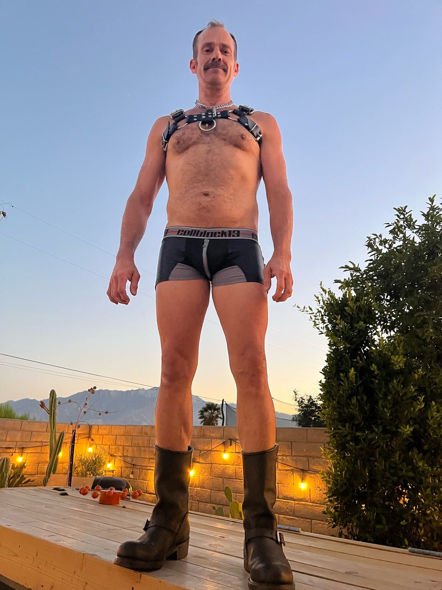 Sunset Pics in Leather