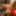 Joselynne My Outfits 2019 #20