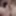 My naked gallery