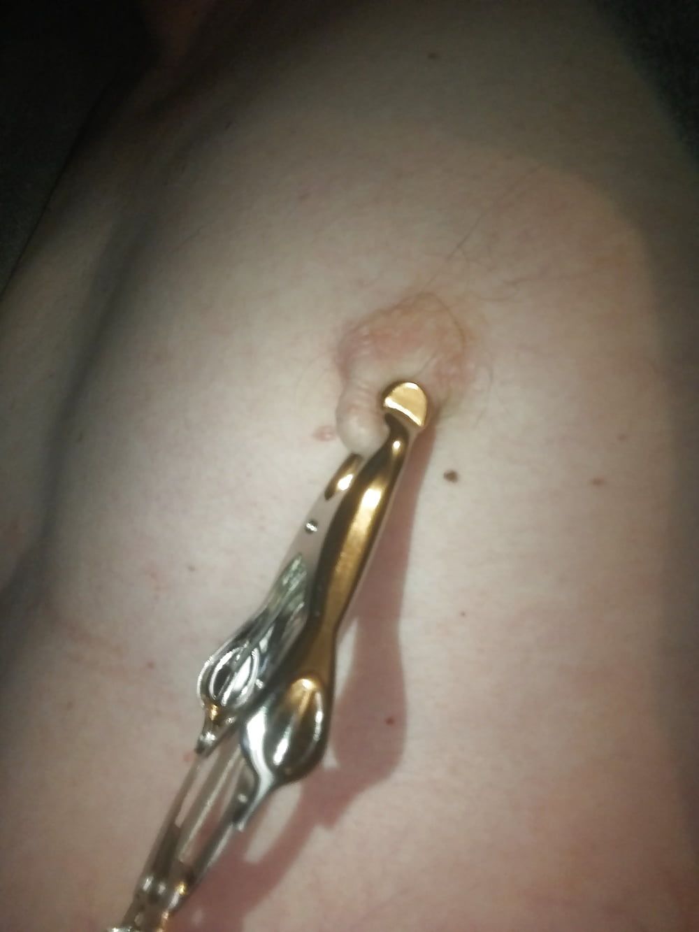 Nippleplay with Clamps #14