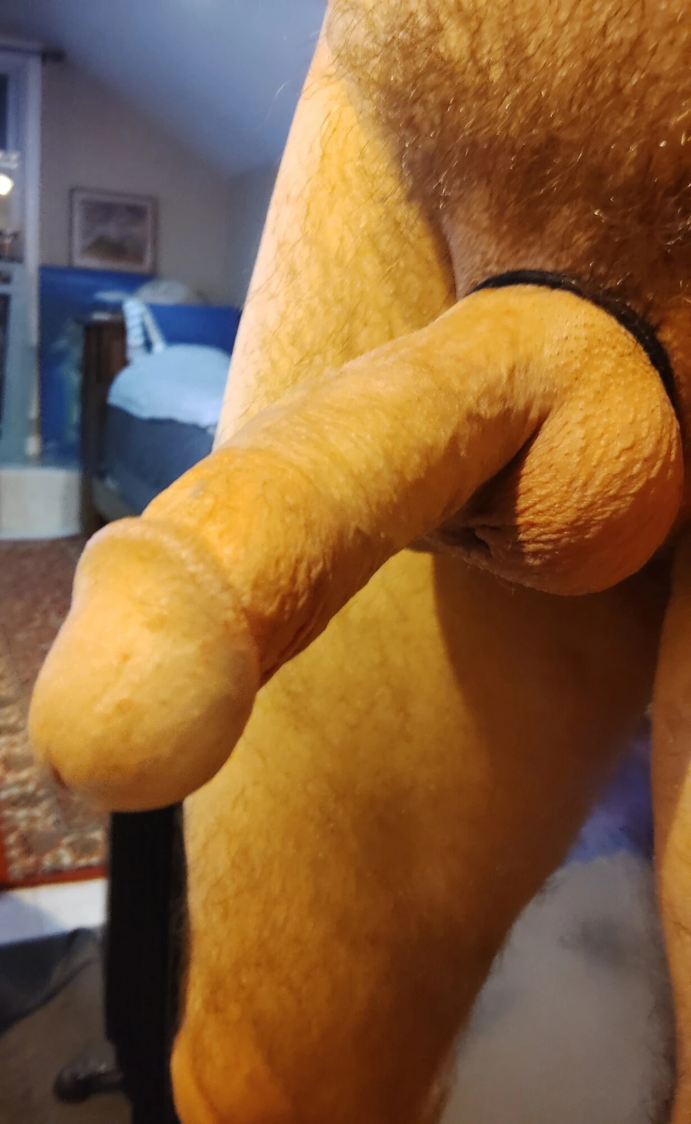 My Meat