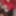 新しい写真