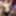 Jan 7 WEEKLY Update to DoggVision VIP Members Area #3