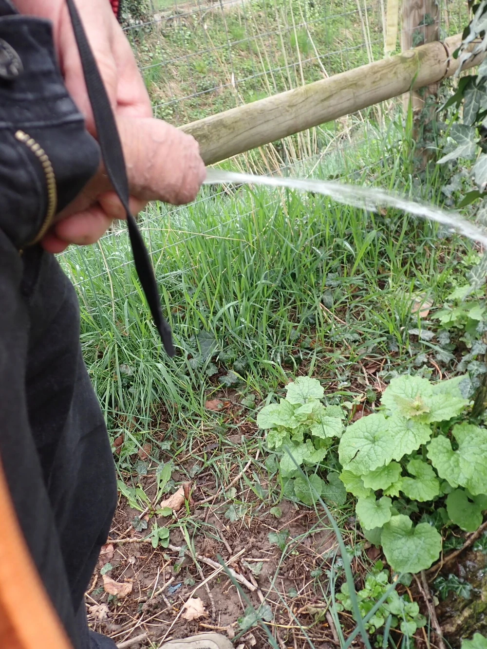 Pee outside #3