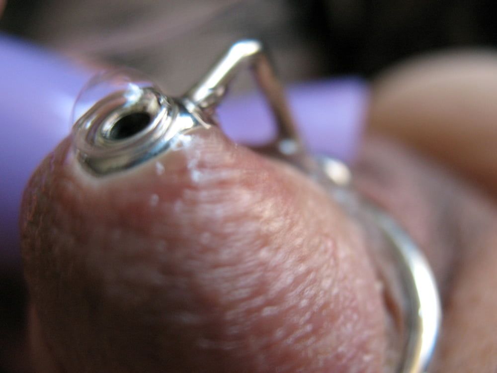 More steel in cock with glans rings #19