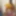 Honey Doll  Free Photos