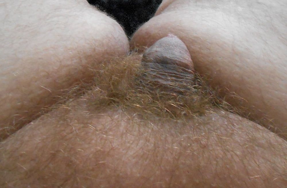my tiny hairy dick before shaving #6