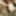 SELF SUCK SELFSUCK AUTOFELLATIO GIFS