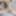 Cumshot Vol.1 #16