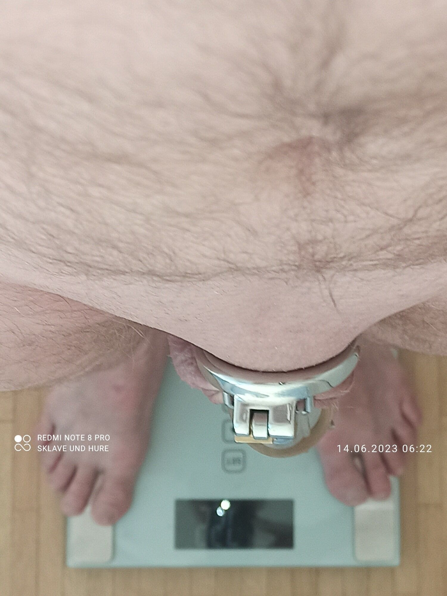 weighing , cagecheck, 14.06.2023 #20