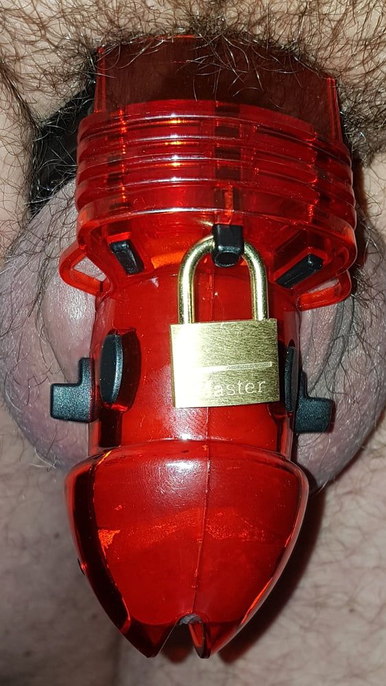 Chastity cage #2
