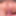 🧿EXTREME CLOSE UP: Prettiest face girl agreed for tight puss