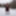 Pregnant flashing naked in the cold snow #44