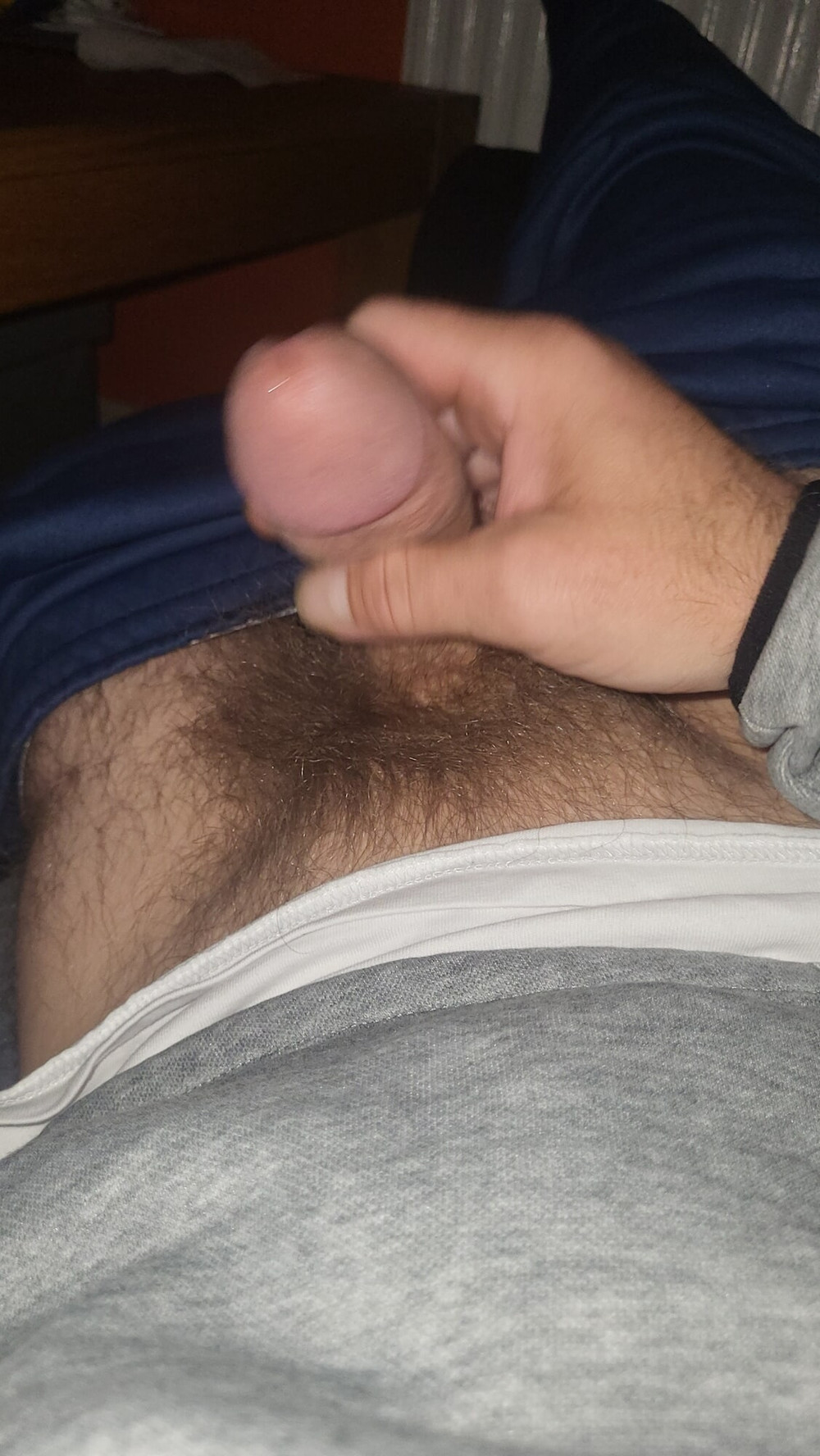 Cock #23