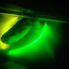 Night teaser 