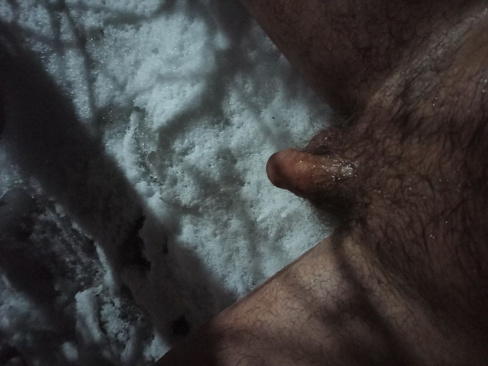 little hairy dick #20