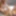 Two horny lesbians toying