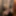 Free Lily Photos