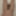 BDSM, Fetish, Bondage #2