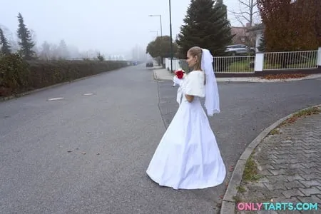 runaway hot bride fucks random van driver         