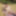Flroian Johannes Mueller nude at the beach #15