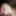 Blondie Jessie Andrews Wants To Give Head In POV  #39