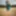© BJP Images 2021 - Fashion stroll