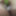 Mixture of pictures to get your dicks hard  #5