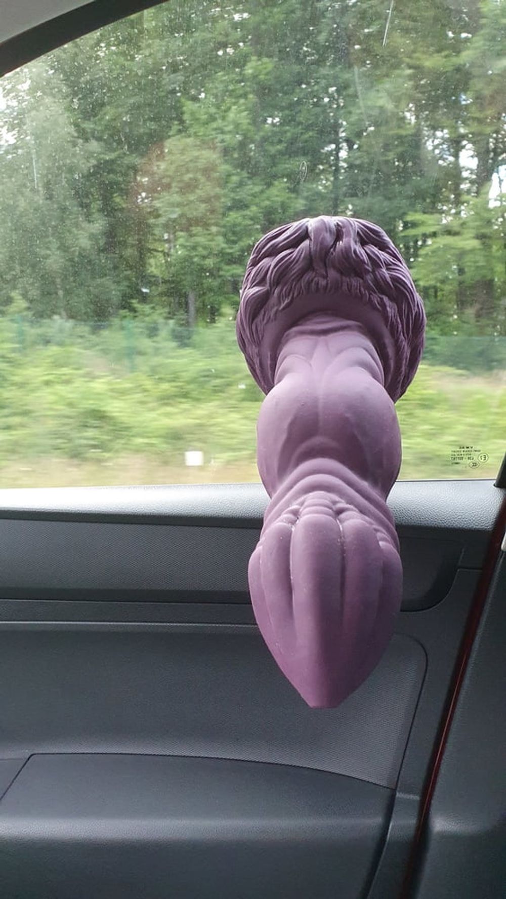 Roadtrip with Bad Dragon Apollo XL #9