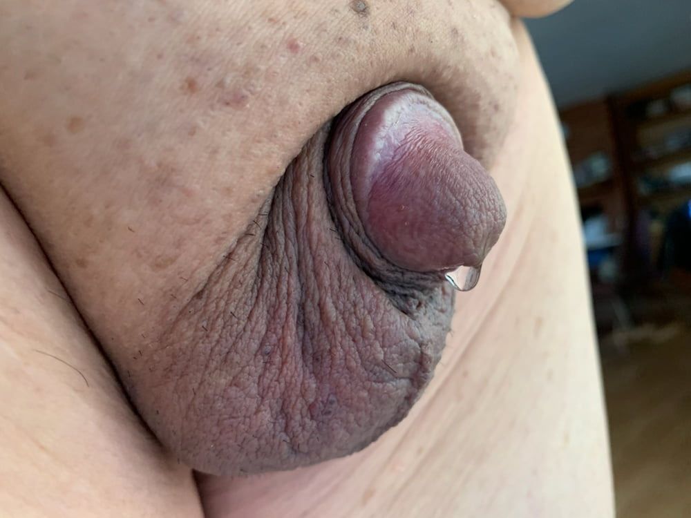 Cute little cock with precum #9