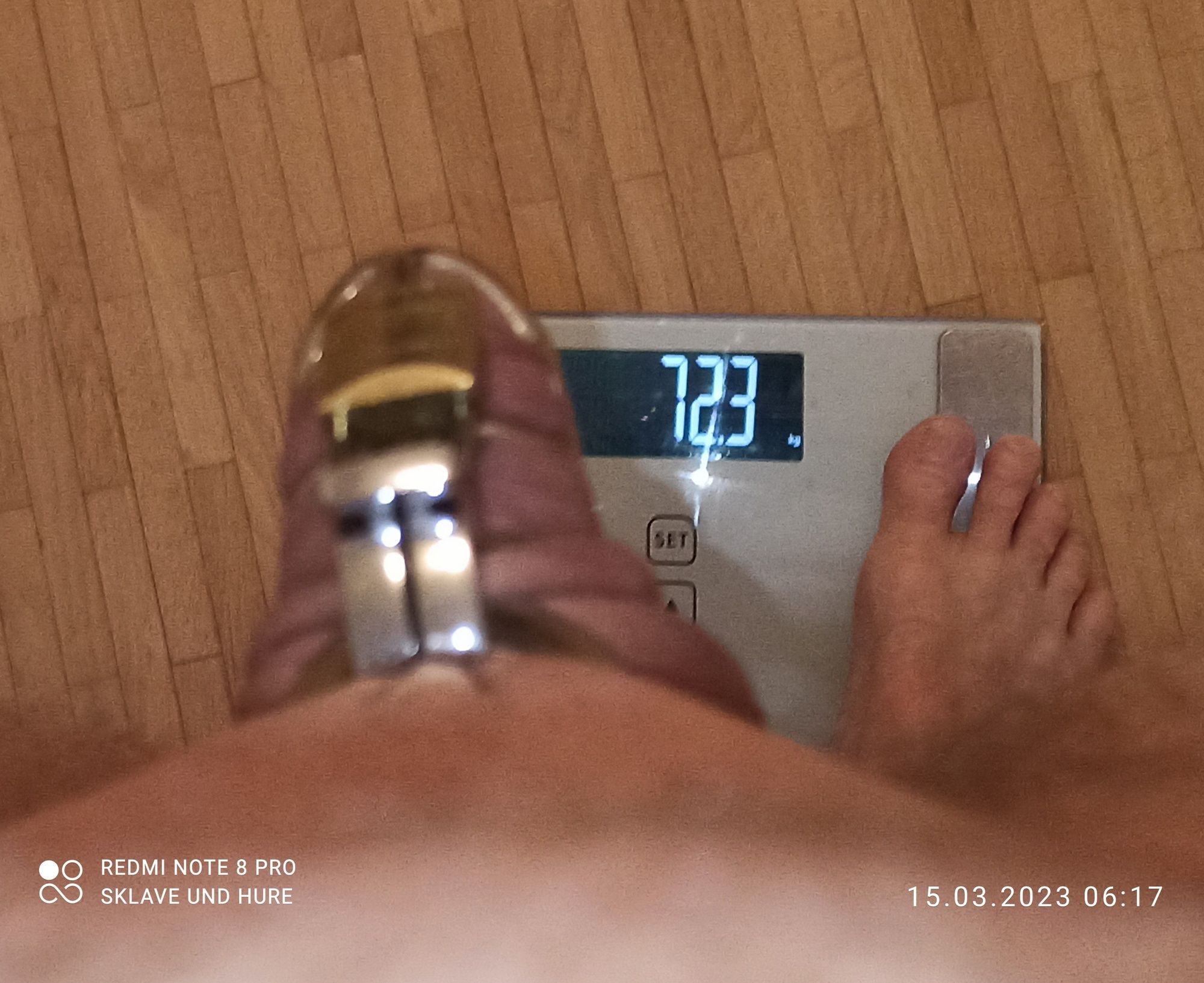 mandatory weighing and cagecheck of 15.03.2023