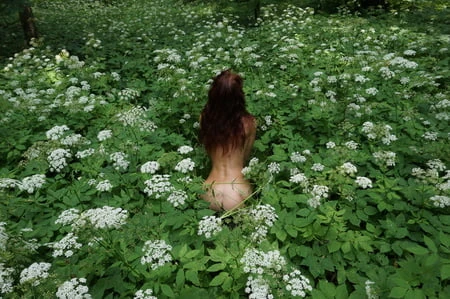 in white flowers           