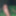 Mein schwanz gifs 
