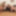 Alice Suzen Ella and Nataly in a lesbian orgy with anal #27